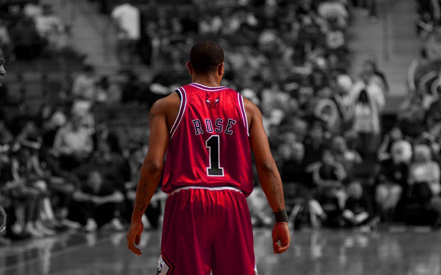 1440x900 Download Wallpaper, Download sports nba basketball derrick rose chicago bulls 1440x900 wallpaper Wallpaper –Free Wallpaper Download