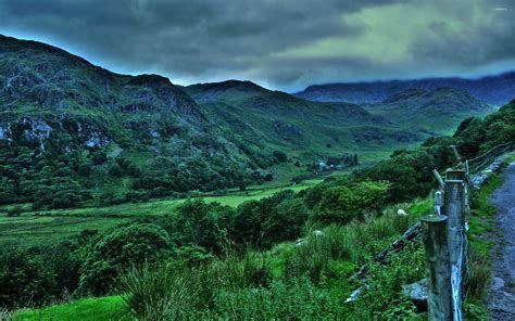 474x296 Dark Green HD Wallpaper 1080P .