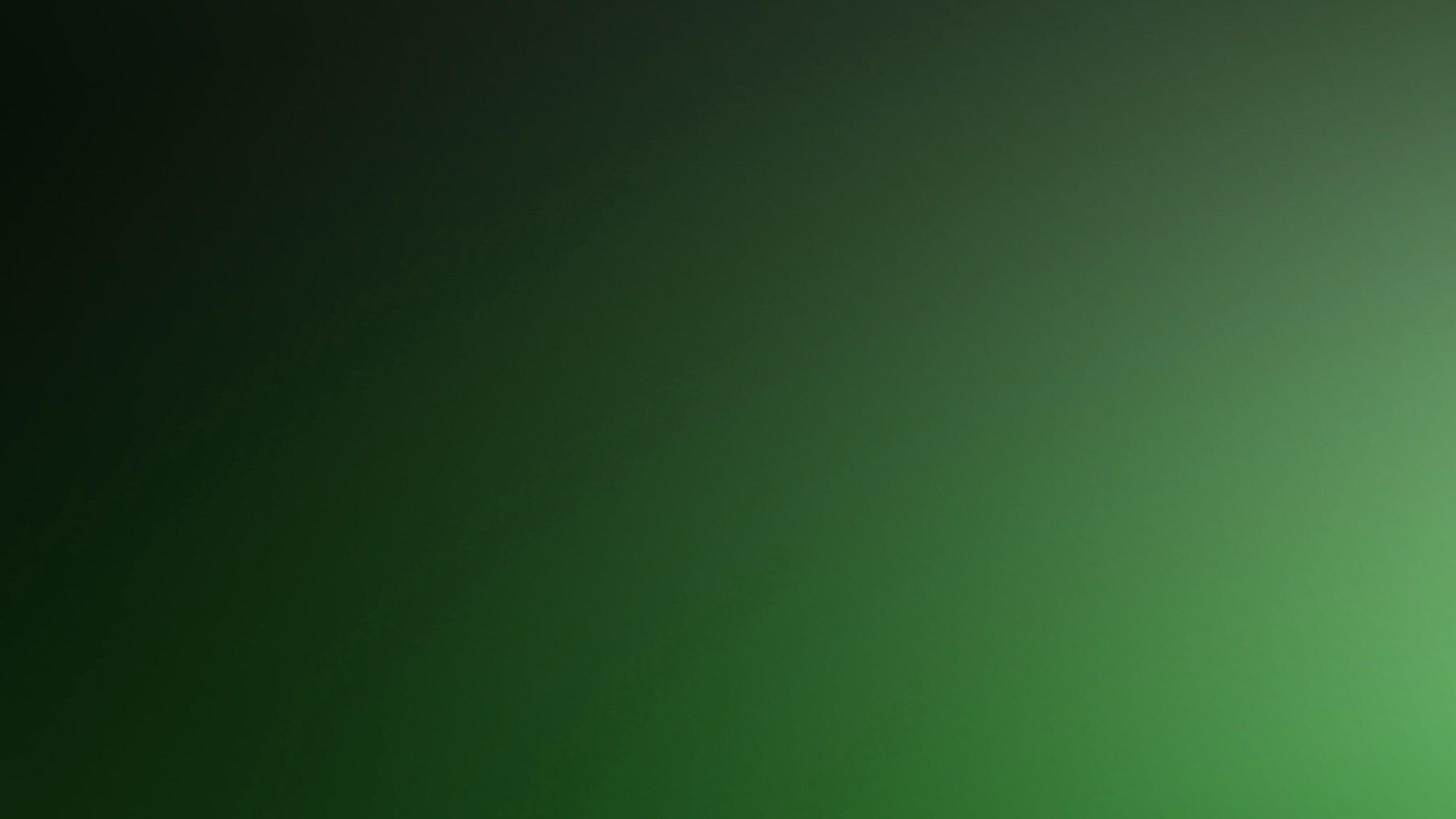 2560x1440 2560x Wallpaper Green, Background, Texture, Solid, Green Fade Background