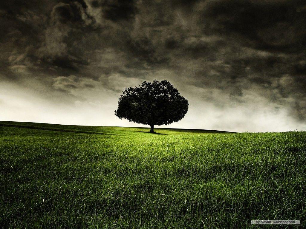 1024x768 Free Nature Wallpaper With Dark Clouds HD Wallpaper