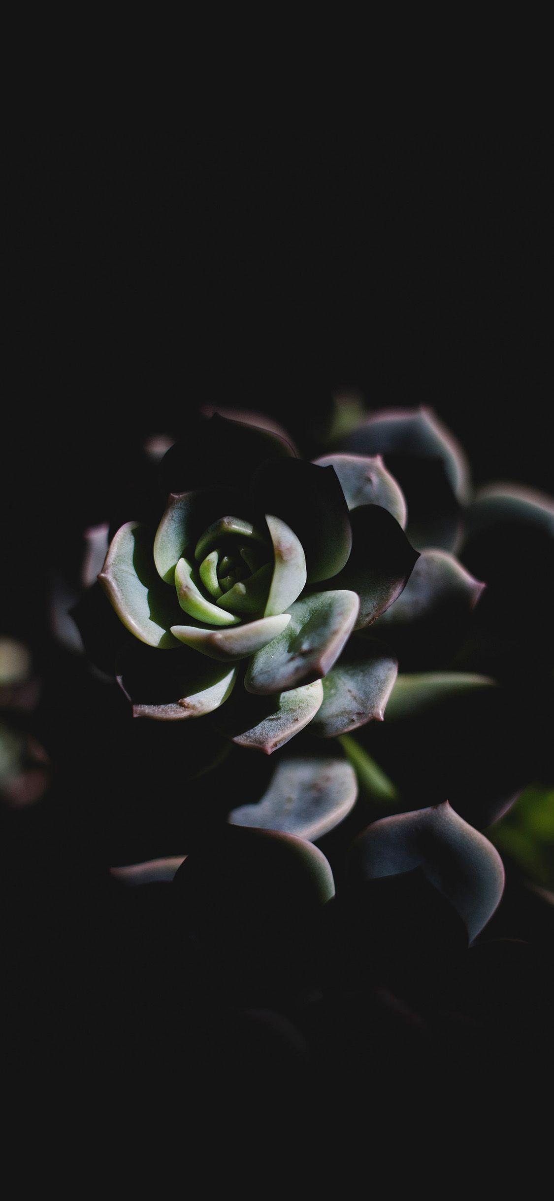 1125x2436 Flower Dark Green Nature Wallpaper