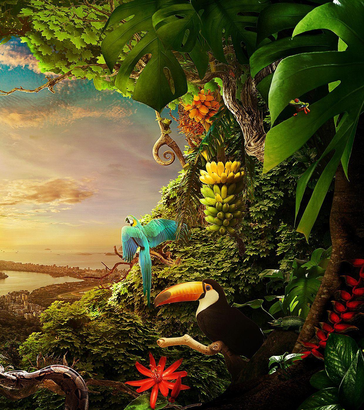 1240x1395 Nature of Brazil Photo Illustration. Jungle illustration, Illustration, Digital art illustration
