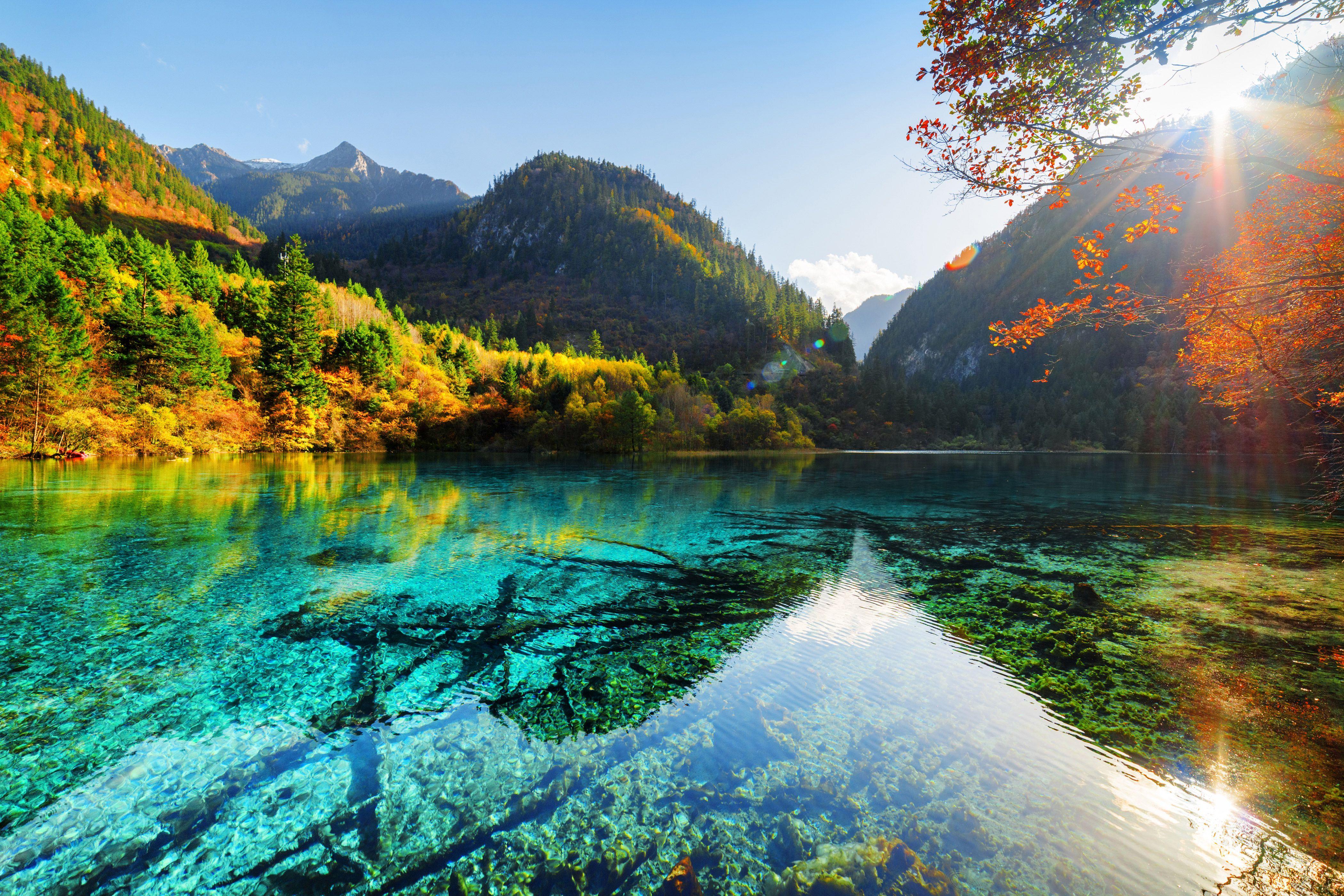 4200x2800 4K Ultra HD Nature Wallpaper