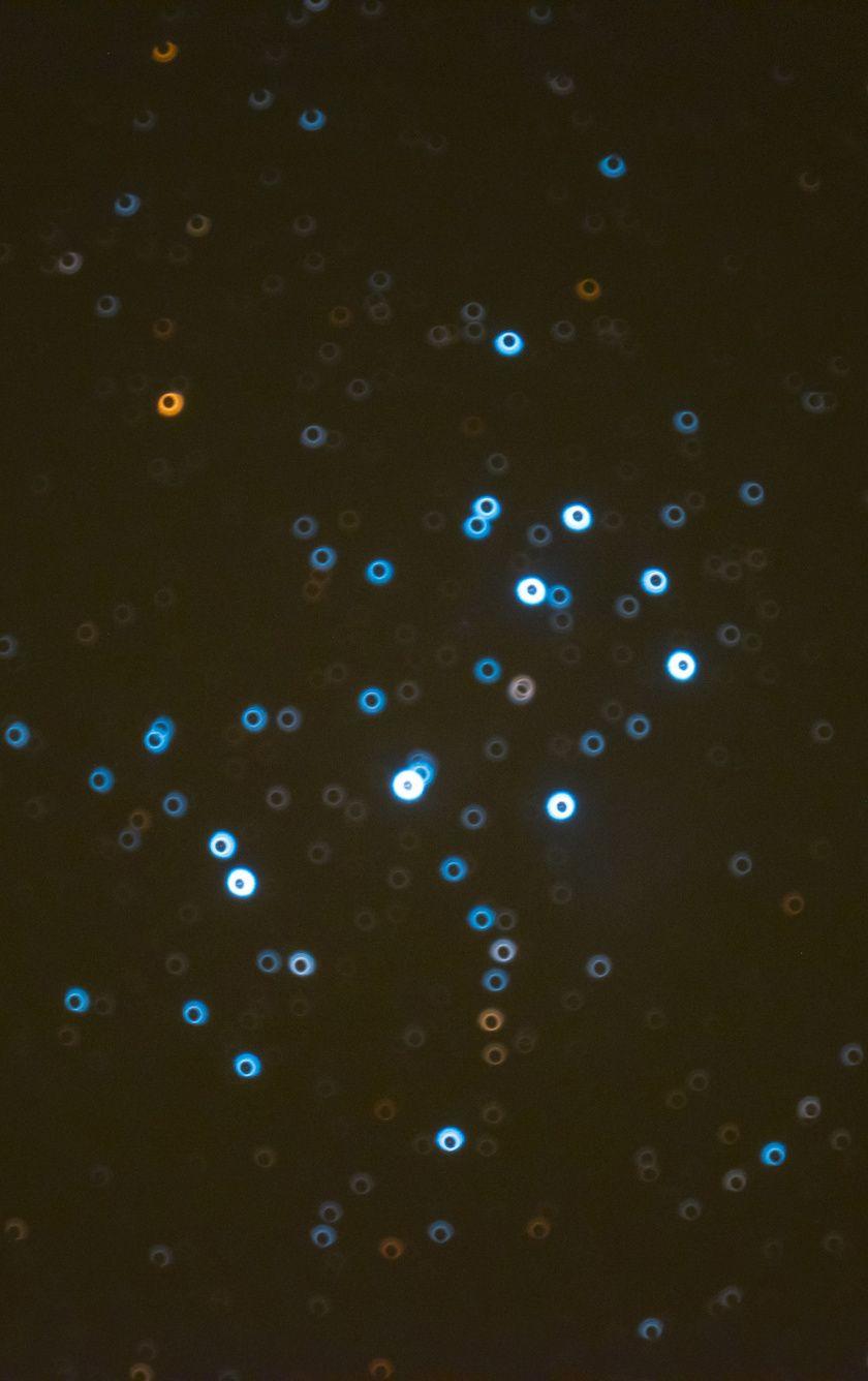 840x1336 Download Small circles, minimal, dark, bokeh wallpaper, 840x iPhone iPhone 5S, iPhone 5C, iPod Touch