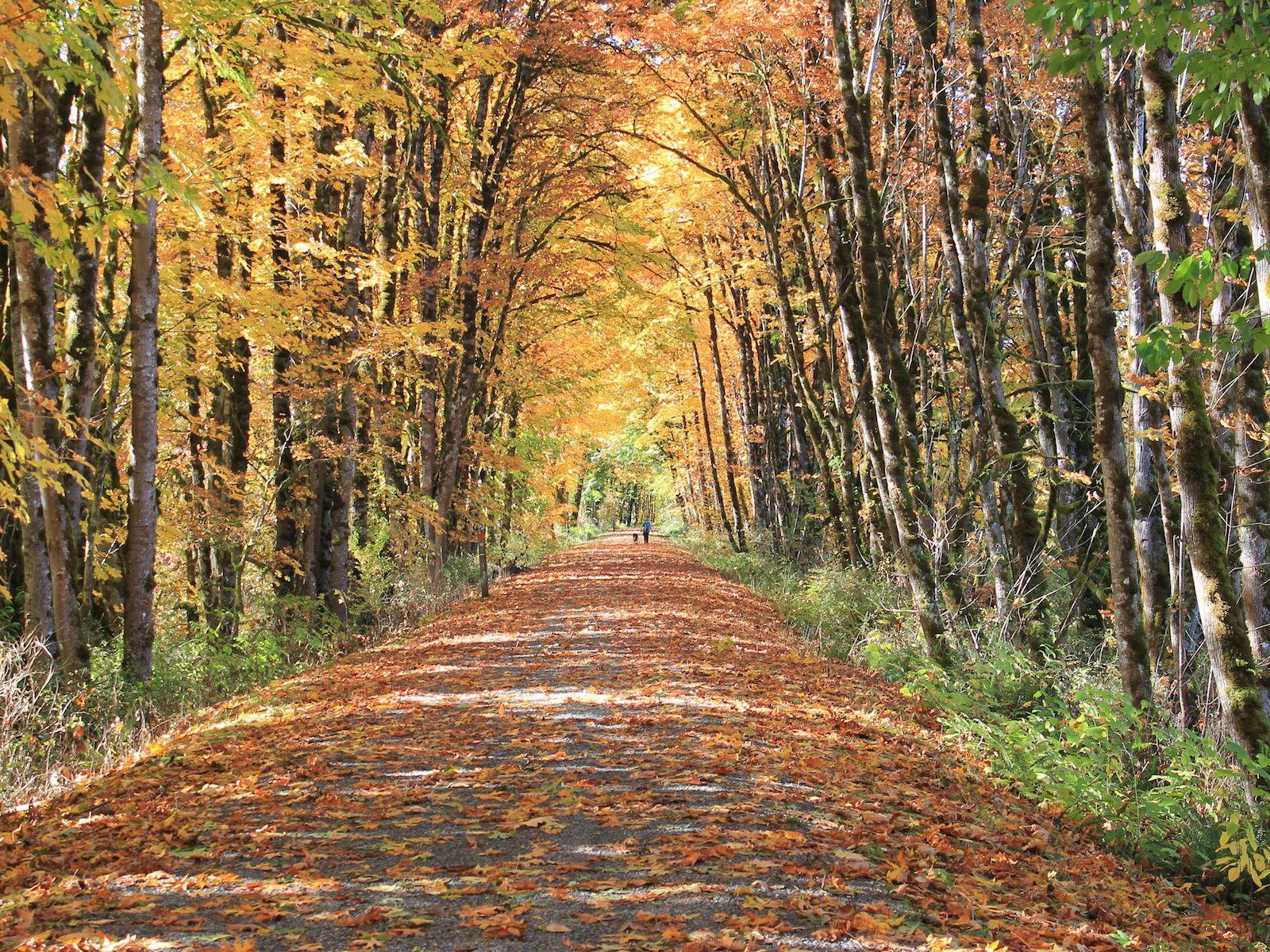 1600x1200 Snoqualmie Valley Trail Fall