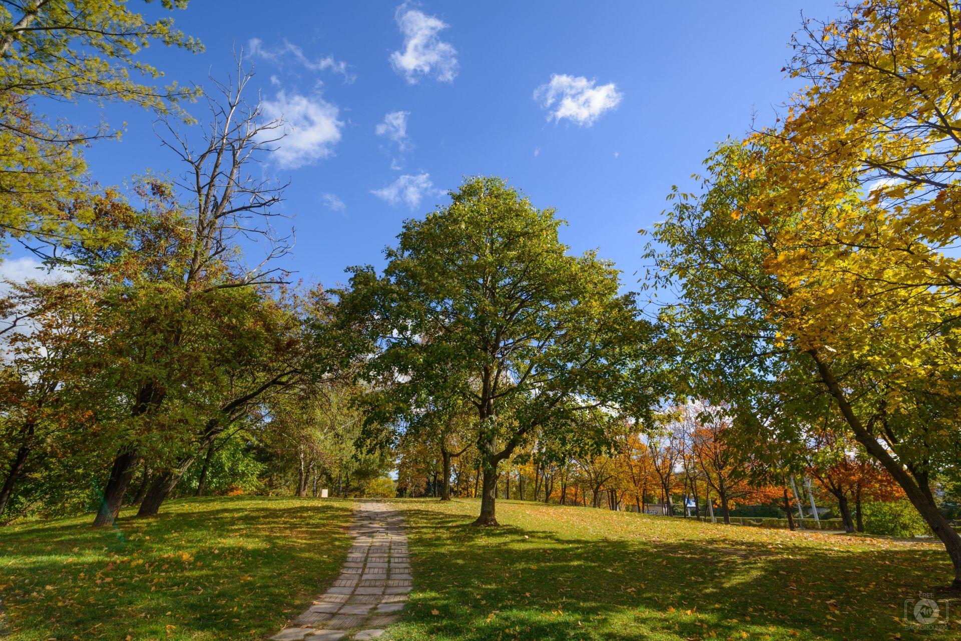 1920x1281 Autumn Park Trail Background Quality Free Background