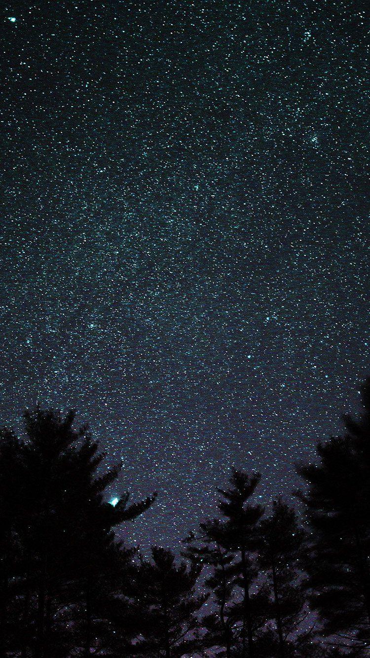 750x1334 iPhone7 wallpaper. night sky star space starry wood dark romantic