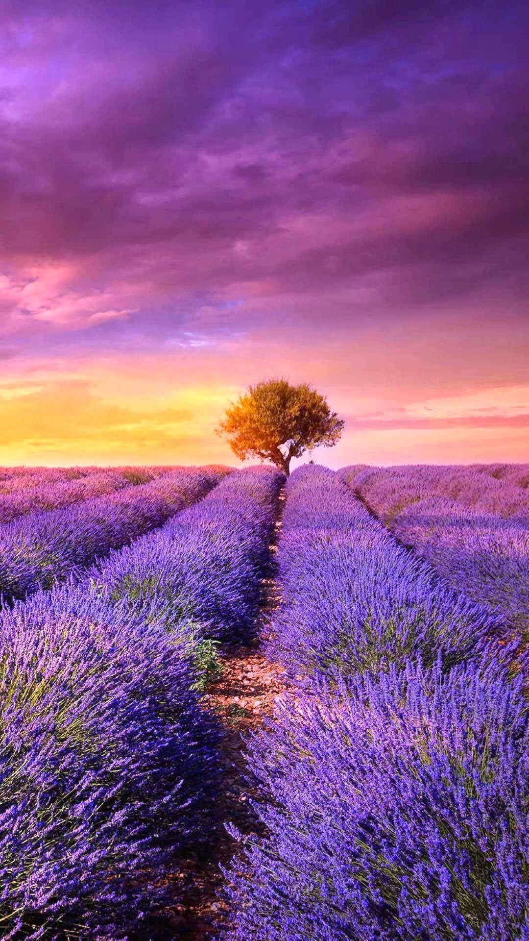1080x1920 Wallpaper. Phone. Beautiful landscapes, Nature, Nature photography
