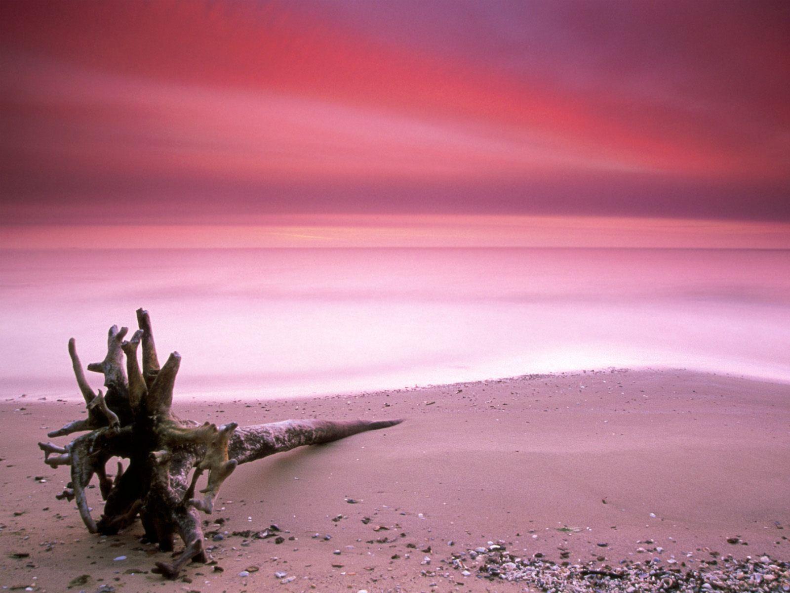 1600x1200 Bãi biển cát hồng Bahamas [1600x1200].  GIẤY DÁN TƯỜNG.  Hồng