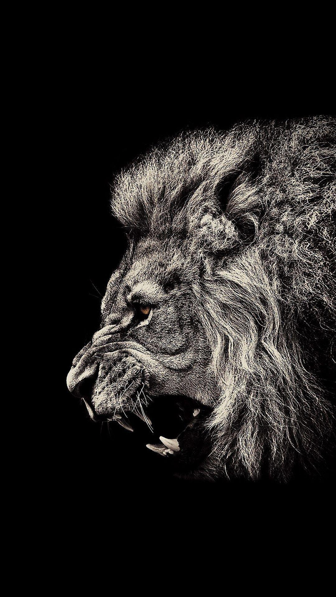 Dark Lion Phone Wallpapers Top Free Dark Lion Phone Backgrounds