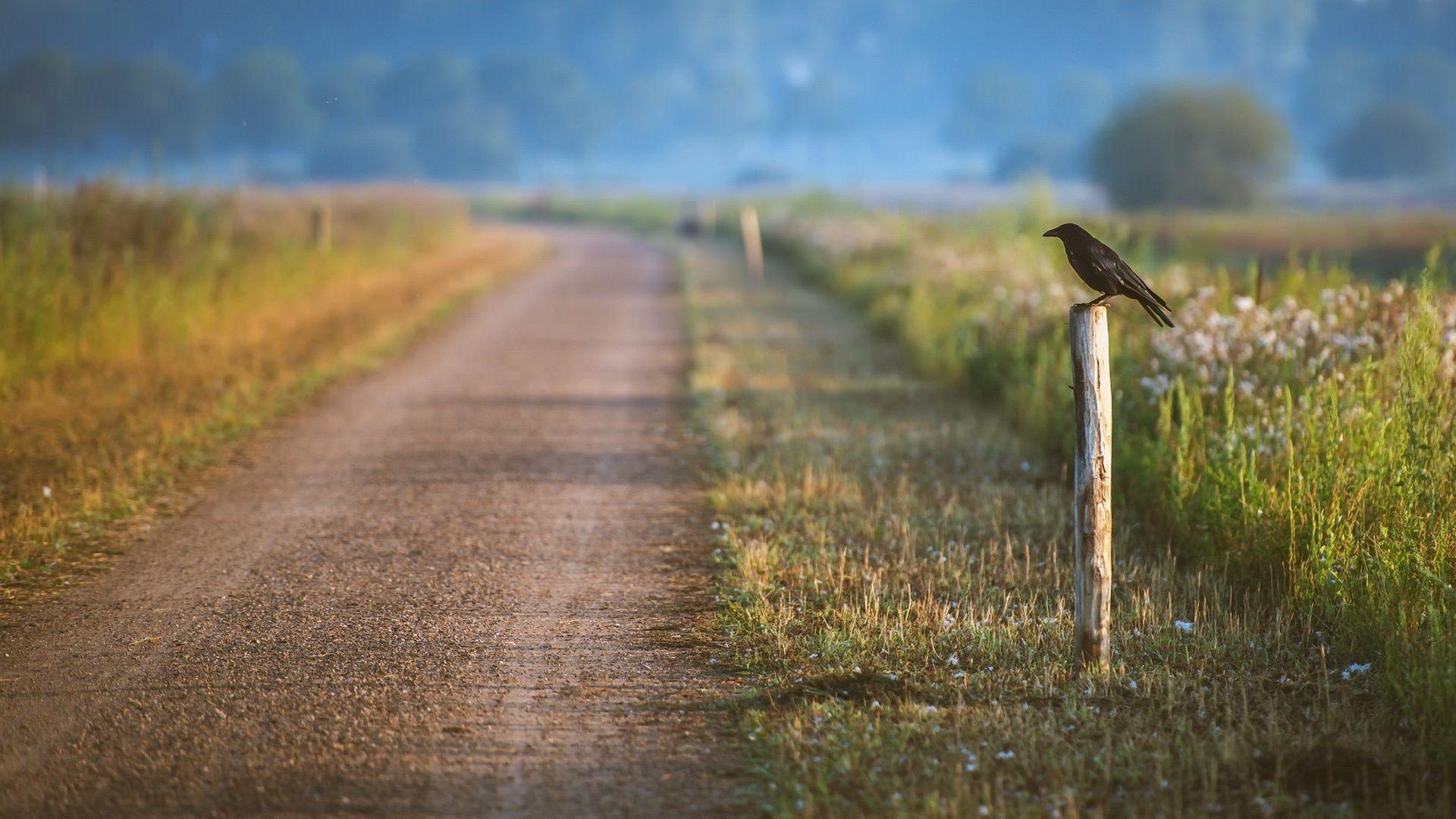 1920x1080 Blur Wallpaper HD Road Wallpaper & Background Download