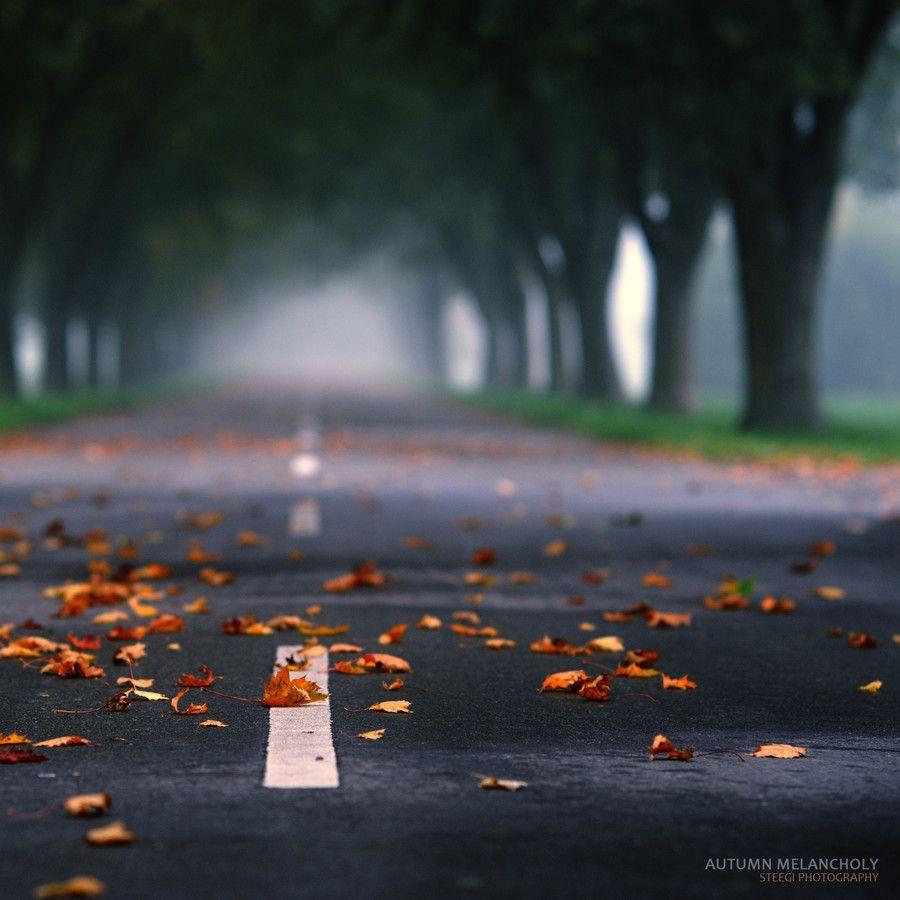 900x900 A Collection of Pathway and Roadway Photo to Lead You. Blurred background photography, Best background image, Background for photography