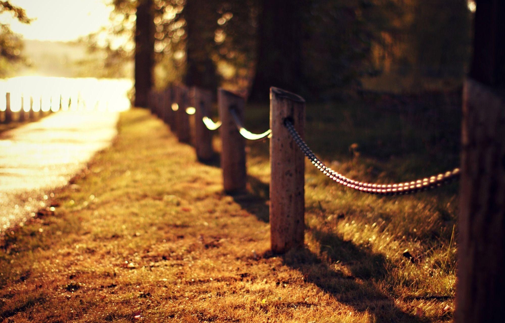 2000x1280 Road Grass Lawn Fence Fence Trees Light Nature Autumn Close Up Blurred Bokeh Wallpaperx1280