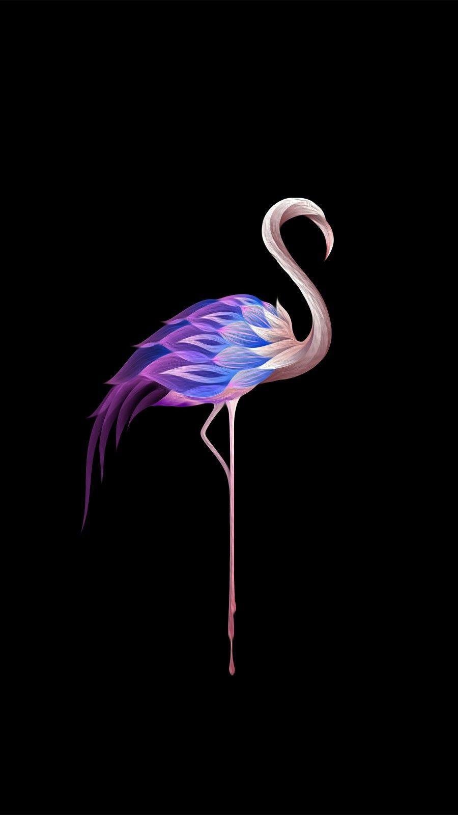 900x1600 iPhone Black iPhone Wallpaper Flamingo HD Wallpaper
