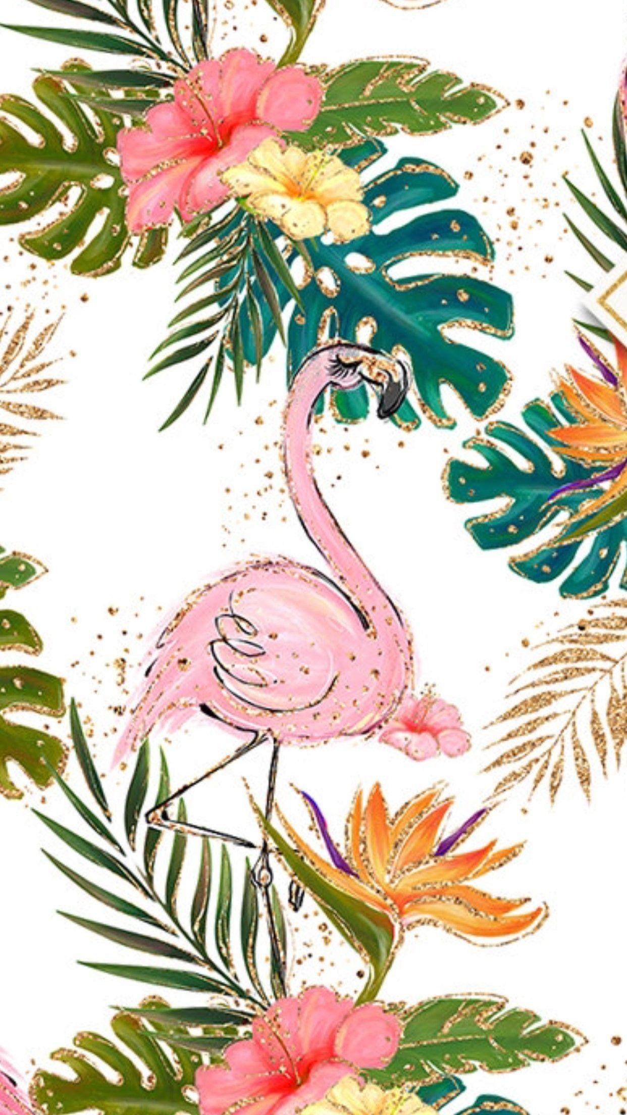 1242x2208 Flamingo Wallpaper iPhone Free HD Wallpaper