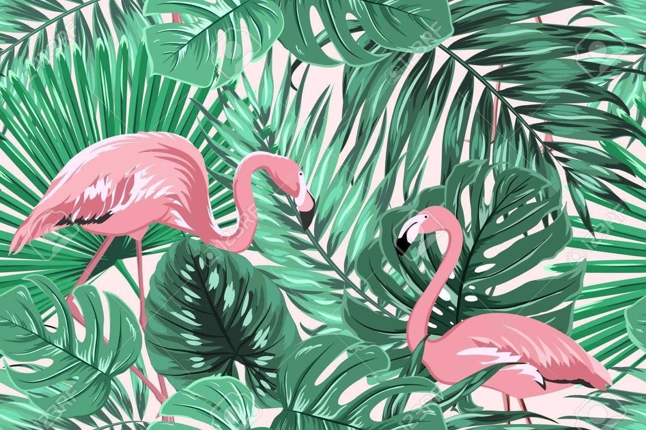 1300x866 flamingo