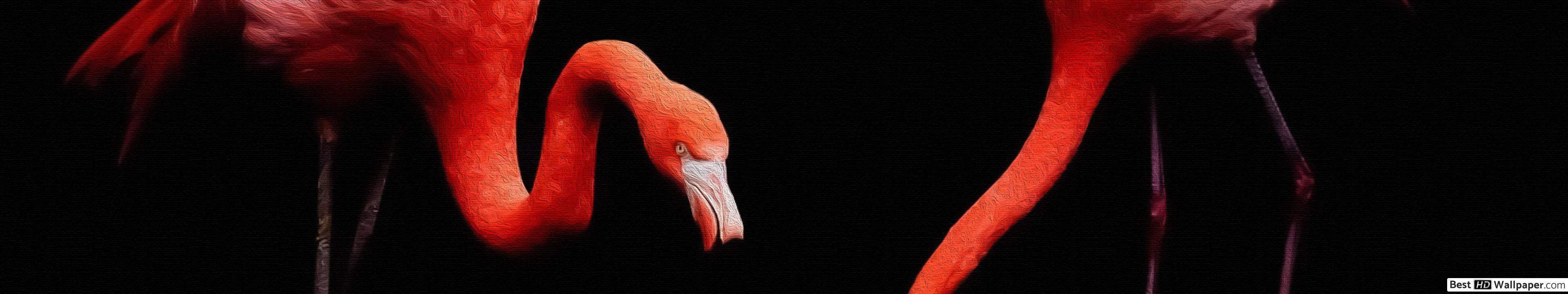 3840x720 Dark flamingo HD wallpaper download