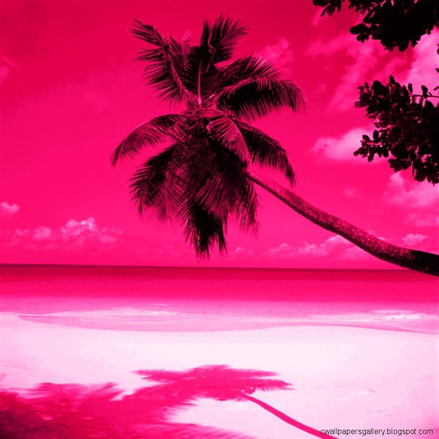 Pink Beach Wallpapers - Top Free Pink Beach Backgrounds - WallpaperAccess