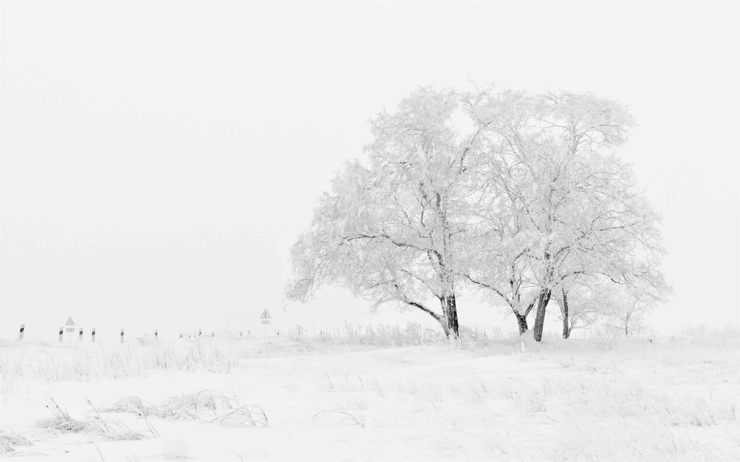2560x1600 Giphy you rock: Macbook Pro Wallpaper HD White