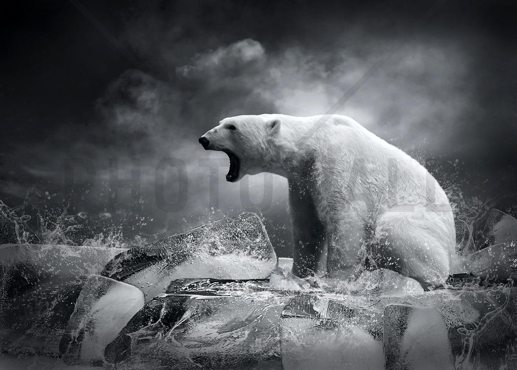2000x1429 White Polar Bear Hunter