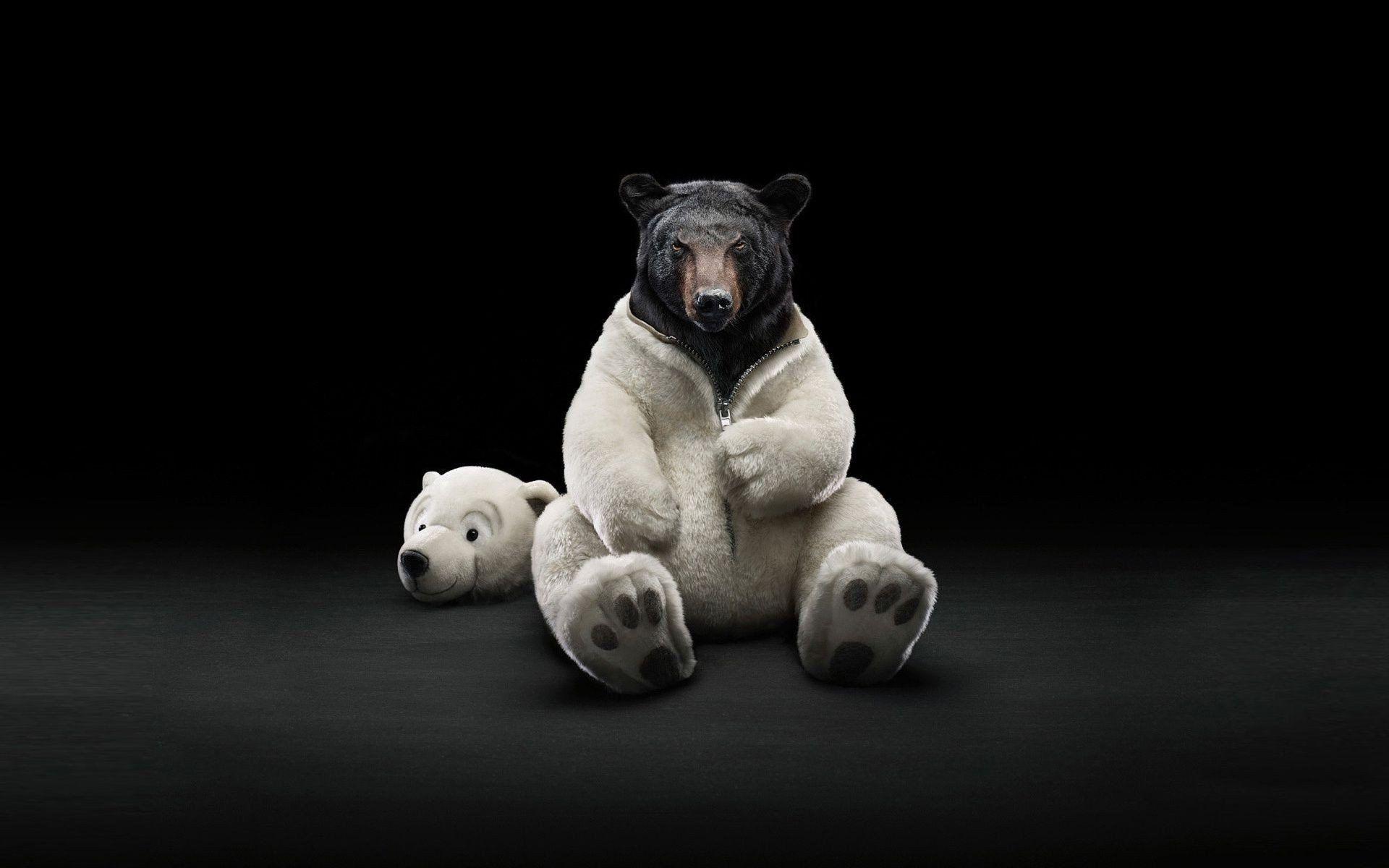 1920x1200 costume, Bears, Polar, Bears, Black, Bear Wallpaper HD / Desktop and Mobile Background