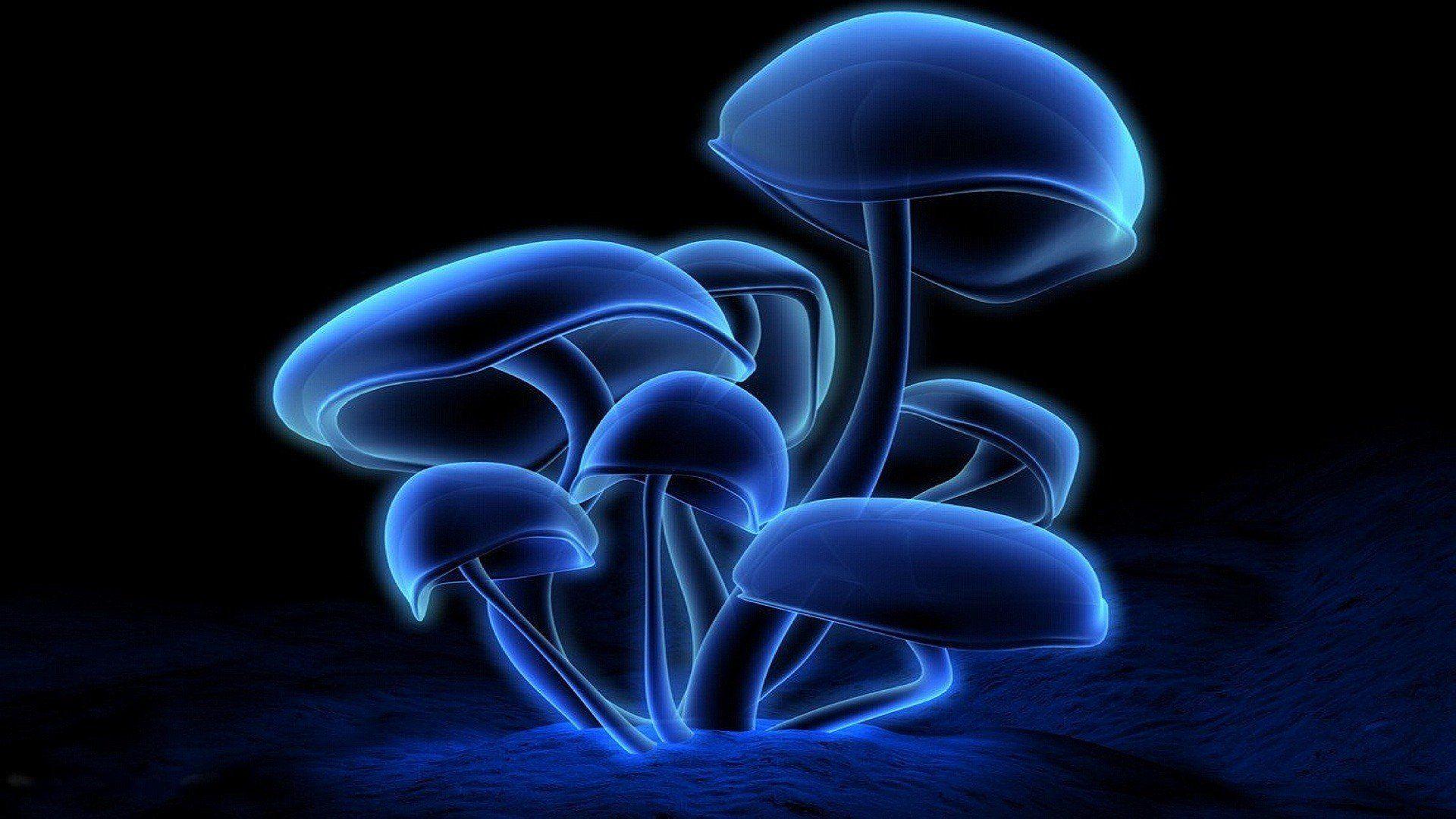 1920x1080 Neon Mushroom hình nền