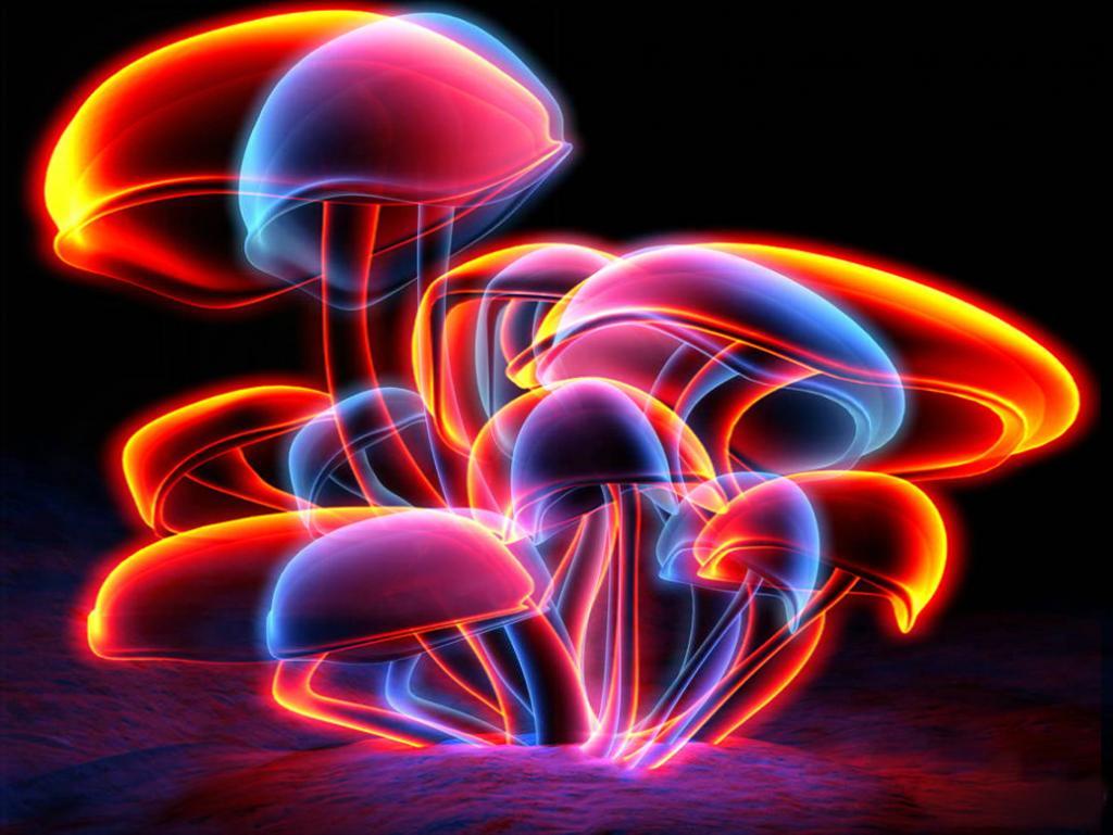 1024x769 Hình nền Nấm Neon Trippy.  Hình nền Neon, Hình nền Neon Flowers và Hình nền Neon Skeleton