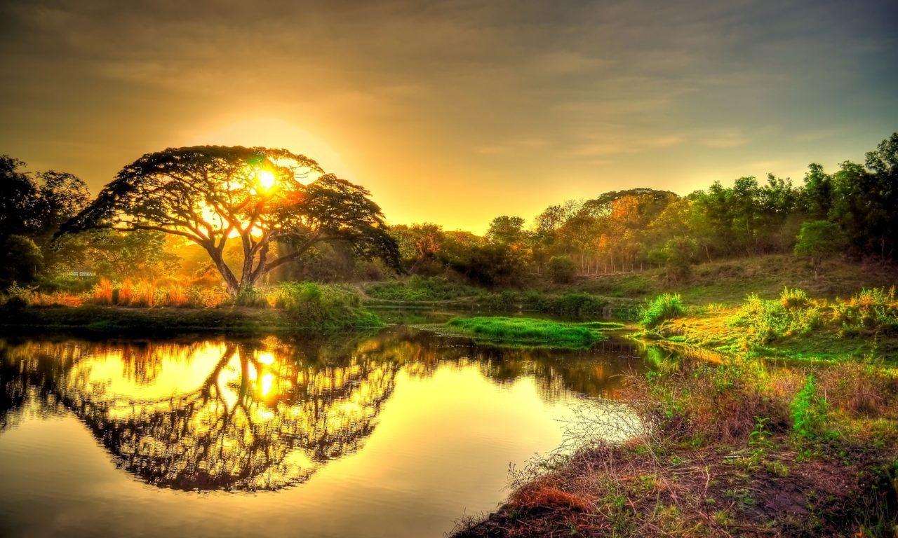 1280x768 Beautiful Gold Sunrise Sky Clouds Tree Lake Reflection In Water Landscape 4k Ultra HD Wallpaper Download At Wallpaper :