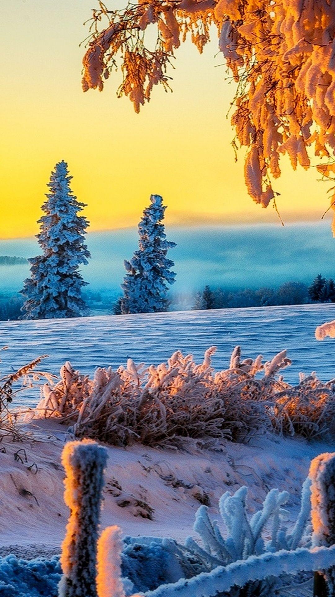 1080x1920 Free download Beautiful Winter Sunrise 4K Ultra HD wallpaper 4k WallpaperNet [1080x1920] for your Desktop, Mobile & Tablet. Explore 4K Winter Wallpaper. Free Wallpaper Background, 4K Snow Wallpaper, Black Wallpaper 4K