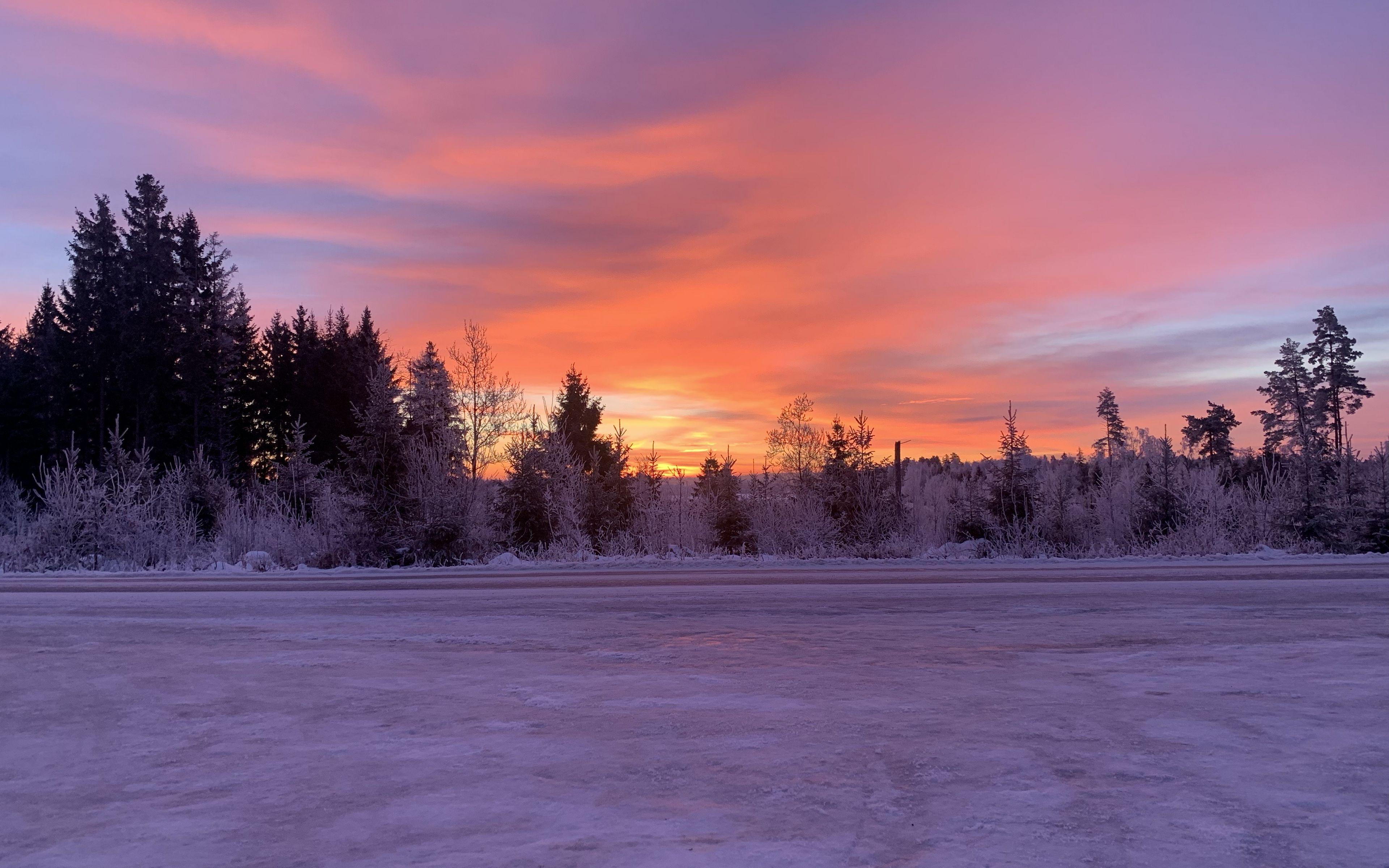3840x2400 Download wallpaper 3840x2400 winter, horizon, dawn, snow, trees, sky, sunrise 4k ultra HD 16:10 HD background