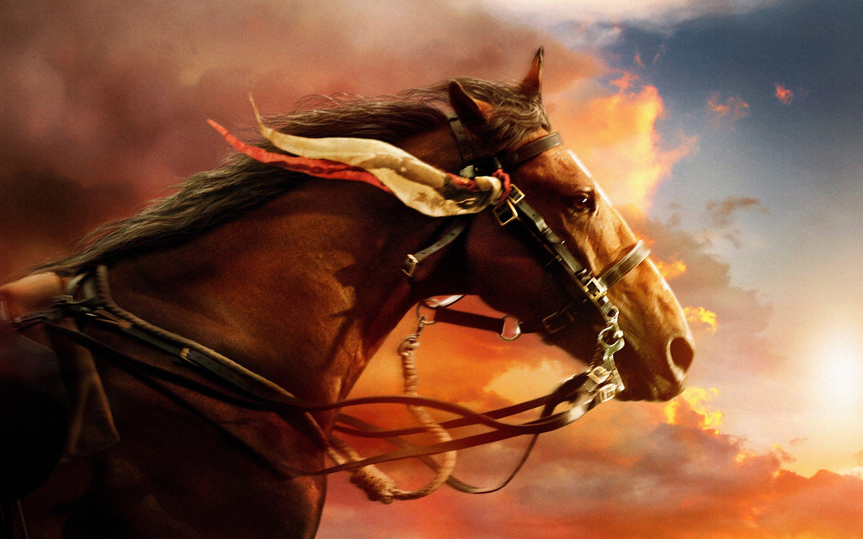 2880x1800 War Horse Wallpaper