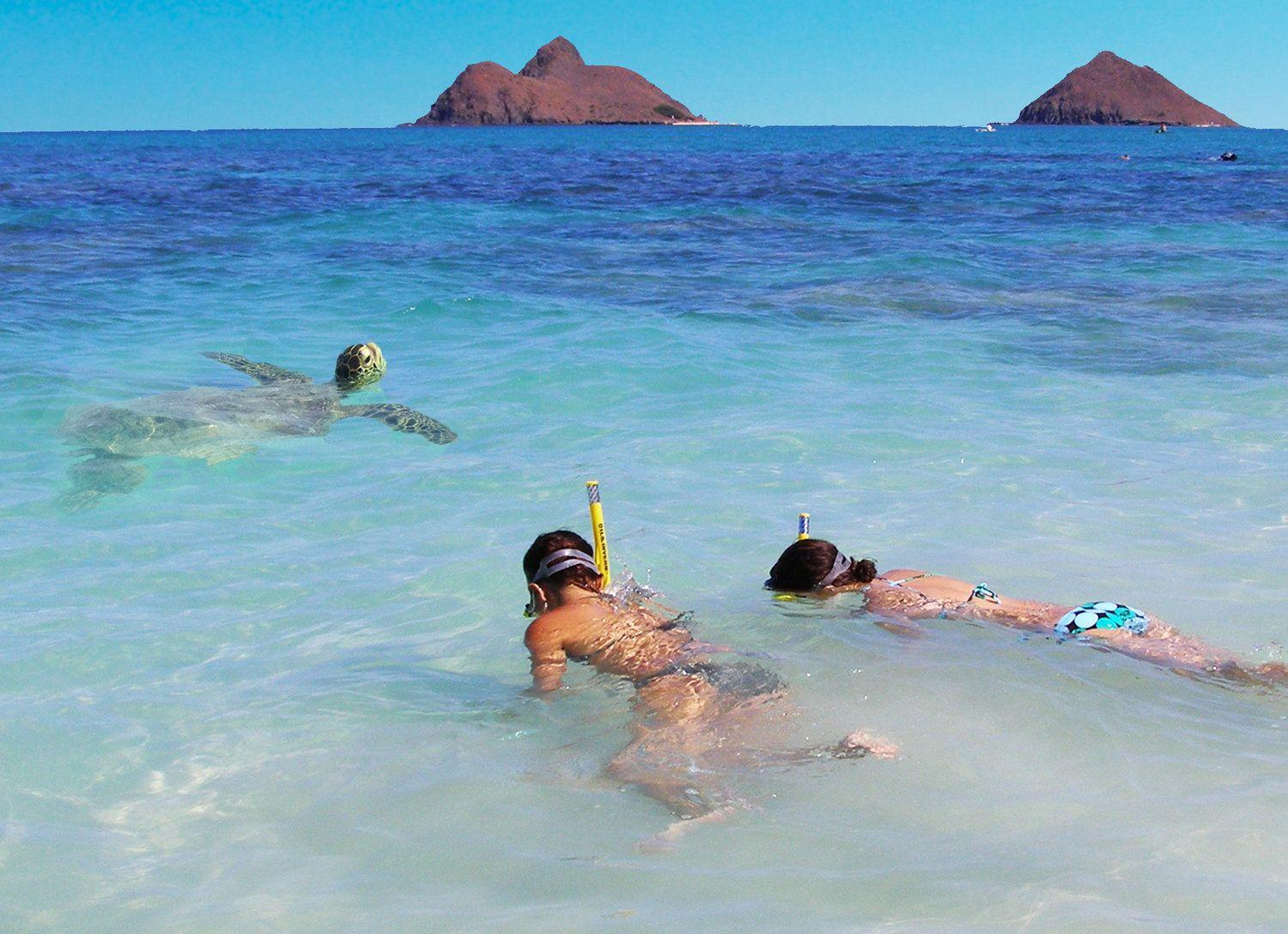 1500x1088 Snorkel Rentals