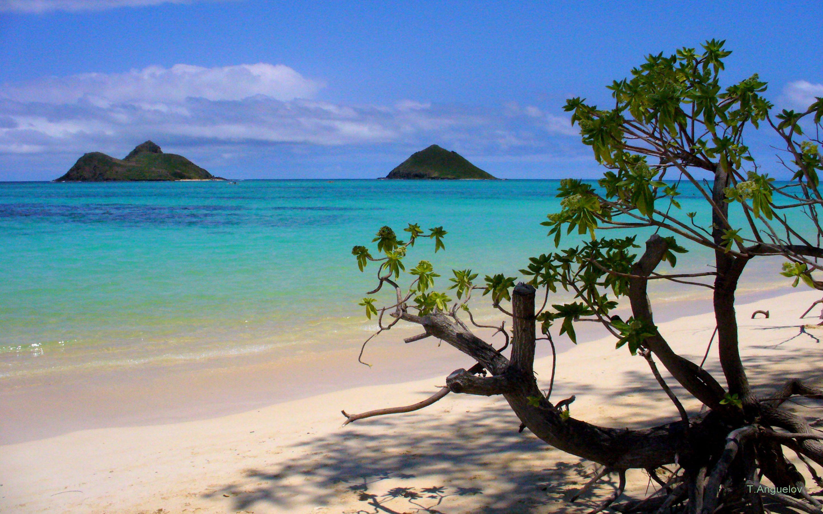 Kailua Beach Wallpapers Top Free Kailua Beach Backgrounds