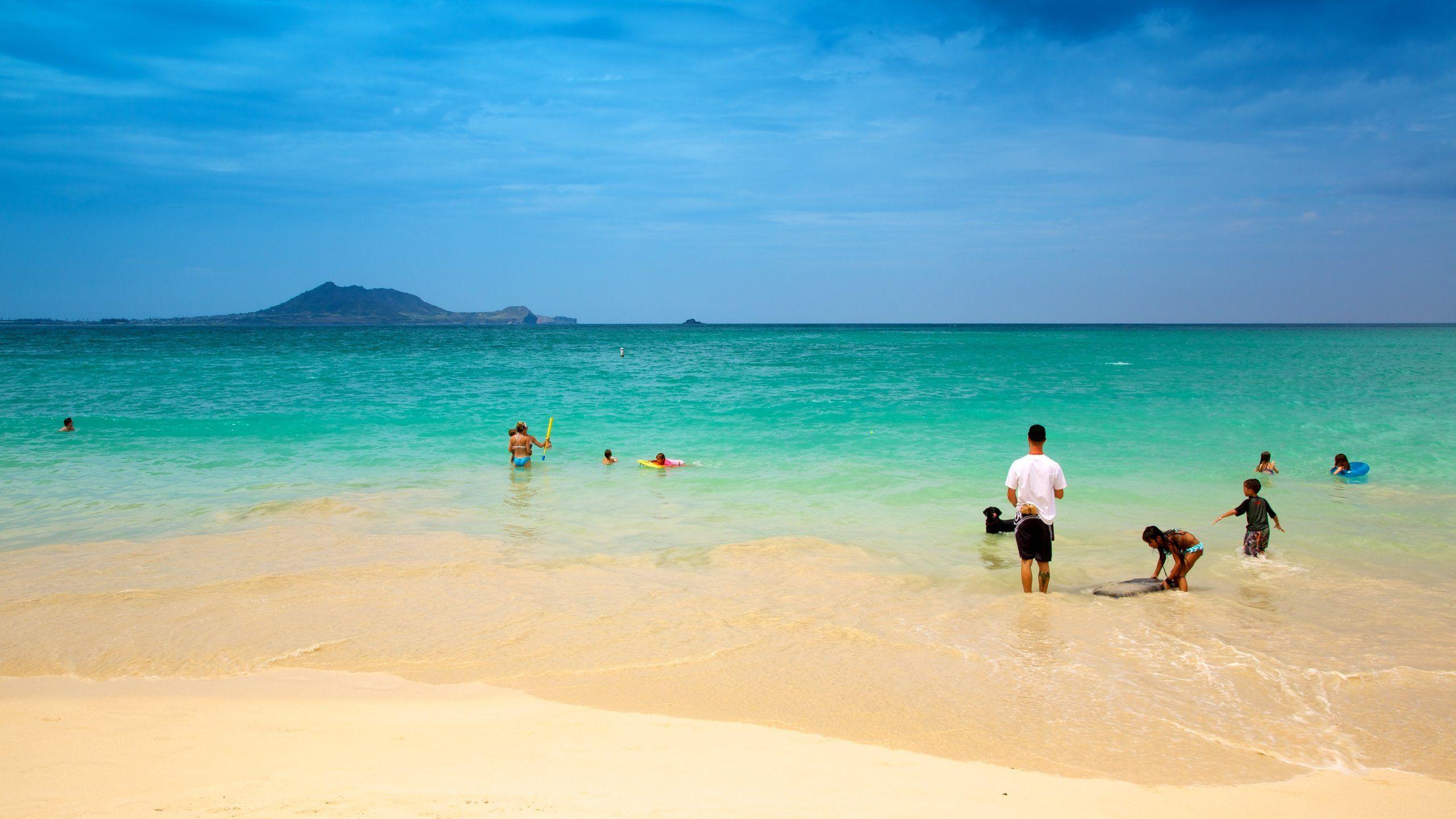 2560x1440 Top Hotels in Kailua, HI from $175 (FREE cancellation on select hotels)