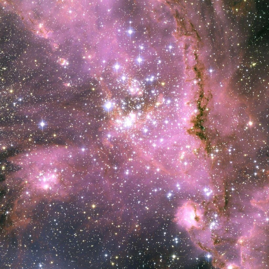 1024x1024 Pink Galaxy Background Awesome Pink Galaxy Wallpaperafari This Month of The Hudson