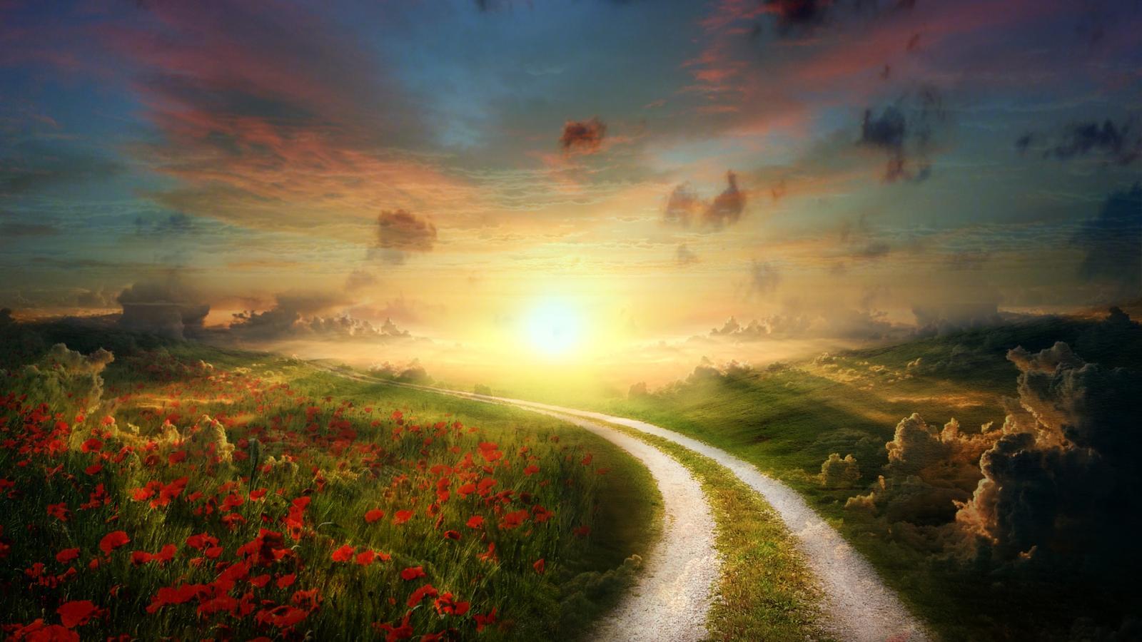 1600x900 Full HD Beautiful Sunny Path Landscape Nature Landscapes Wallpaper 99NatureWallpaper