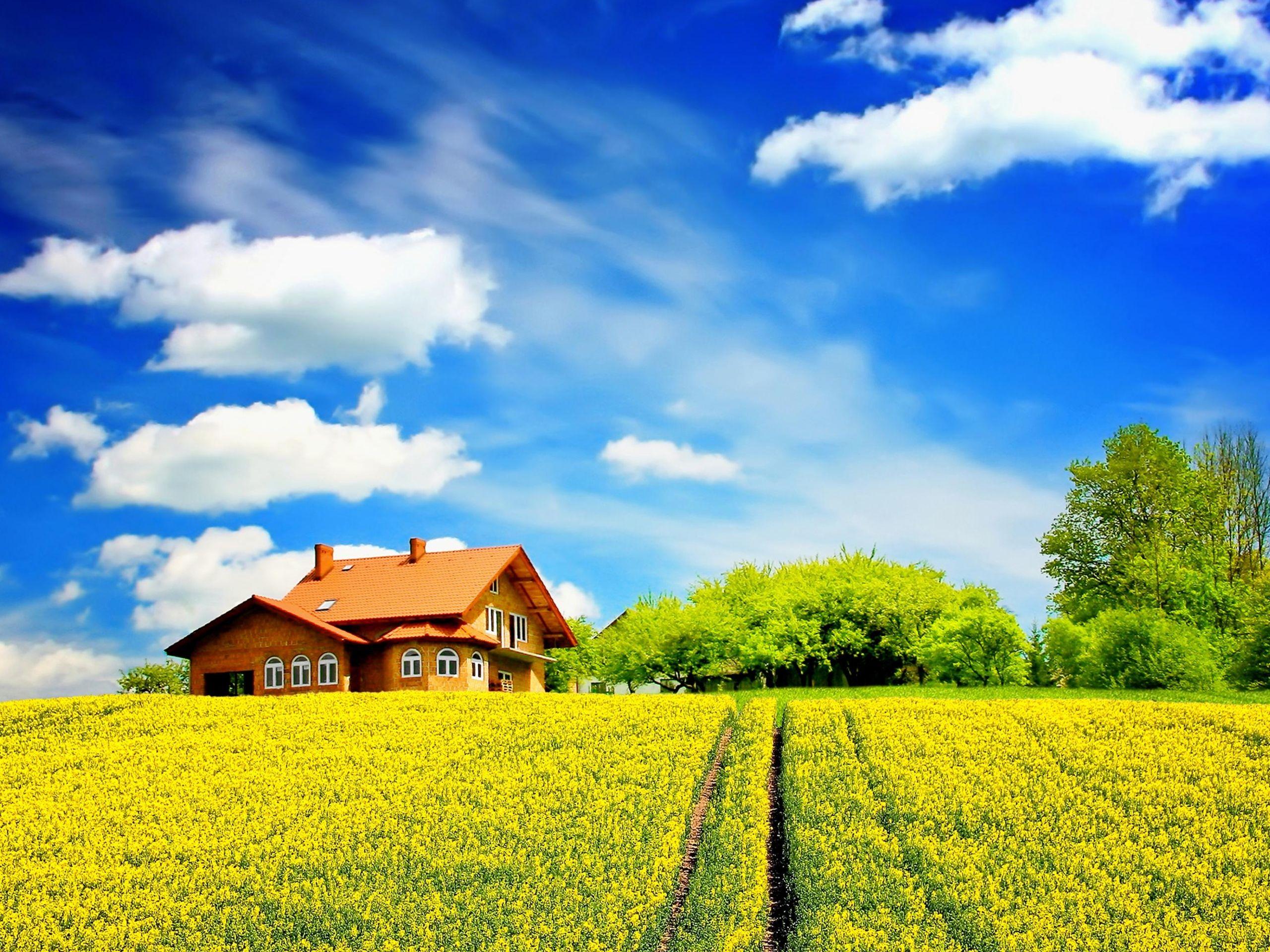2560x1920 Sunny Desktop Background. Sunny Sky Wallpaper, Sunny Wallpaper and Sunny Fitness Wallpaper