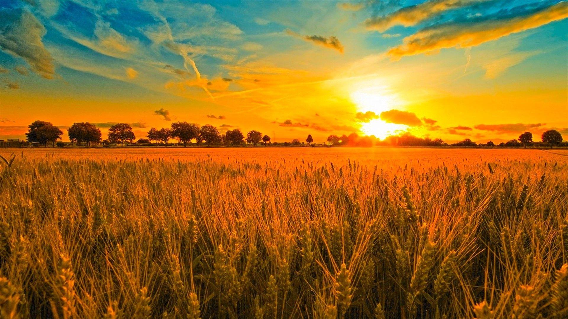 1920x1080 Sunny Desktop Background