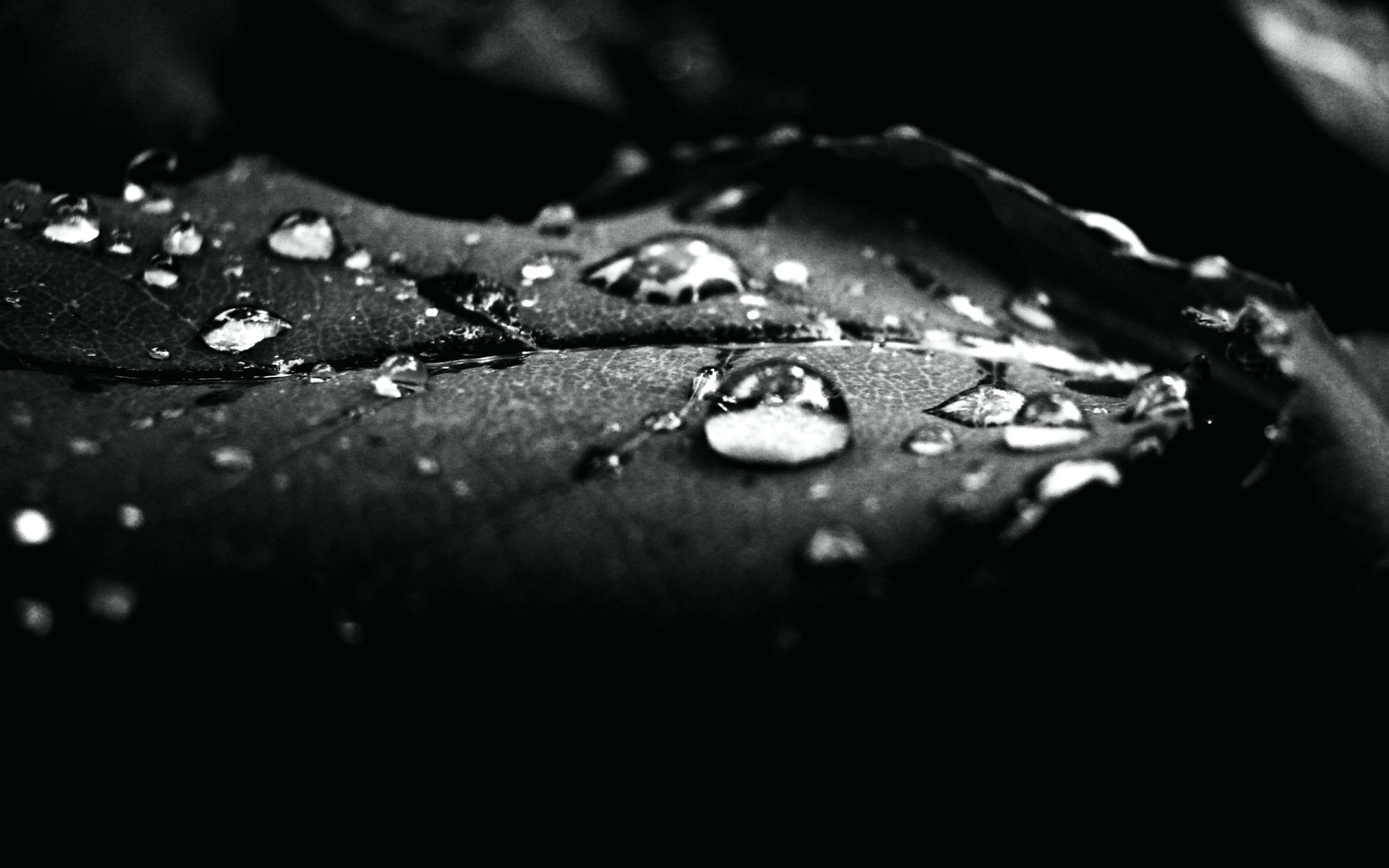 1920x1200 Black And White Diamond Wallpaper Free Background Wallpaper