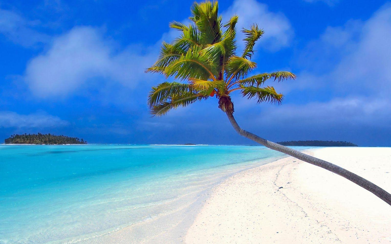 1600x1000 Bermuda Computer Wallpaper, Desktop Background.43 KB
