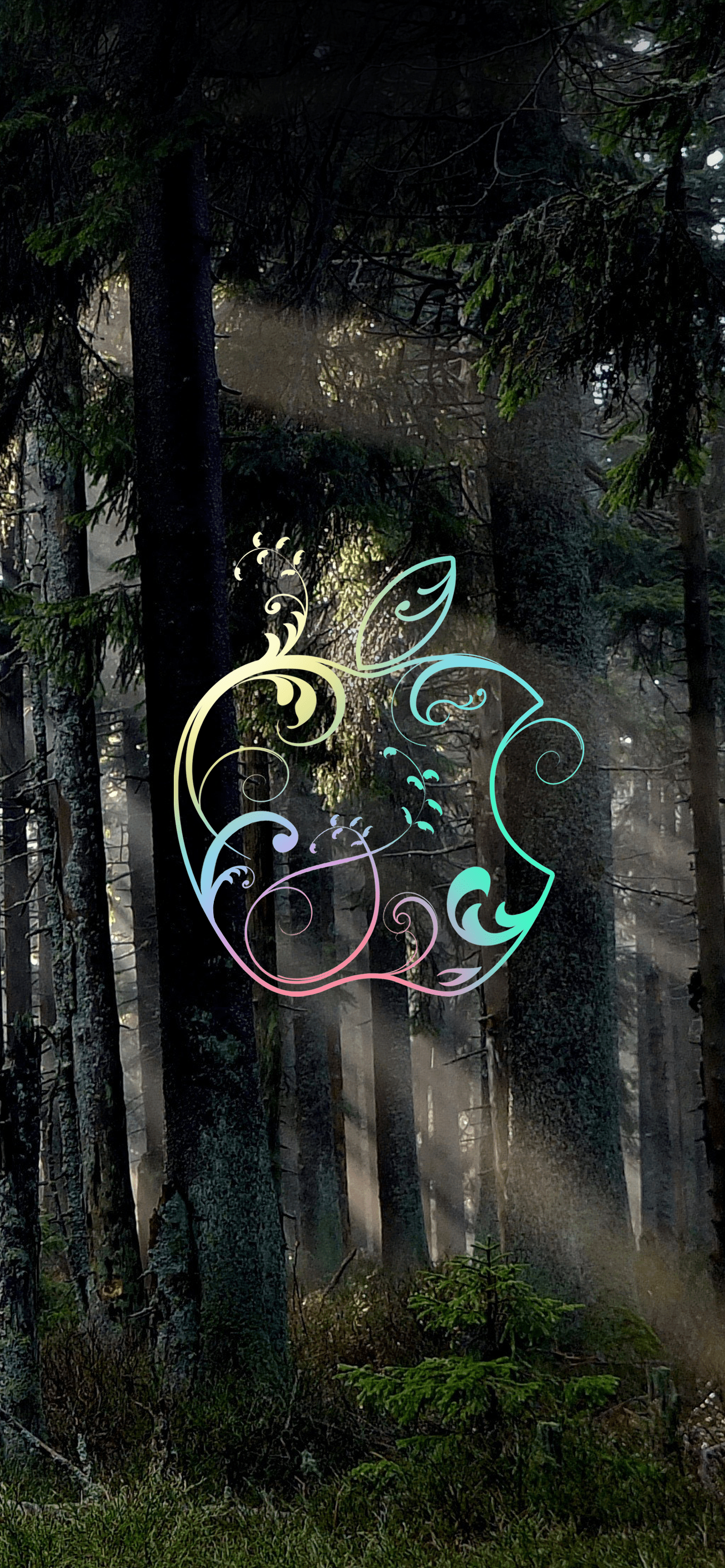 1356x2934 Download our exclusive Rainforest Wallpaper for iPhone 11