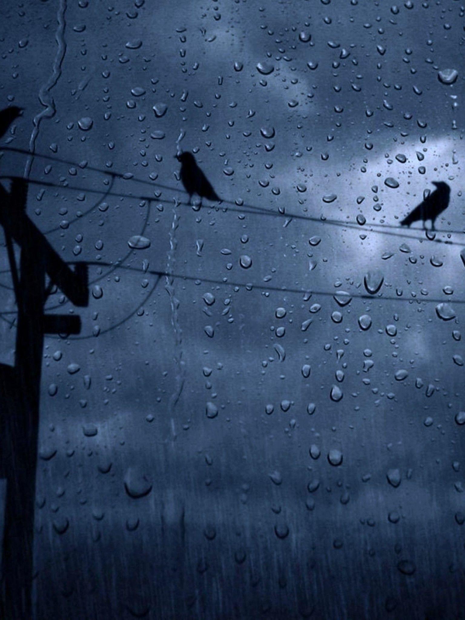 1536x2048 Download 1536x2048 Rain, Crows, Weather Wallpaper for Apple iPad Mini, Apple IPad 4