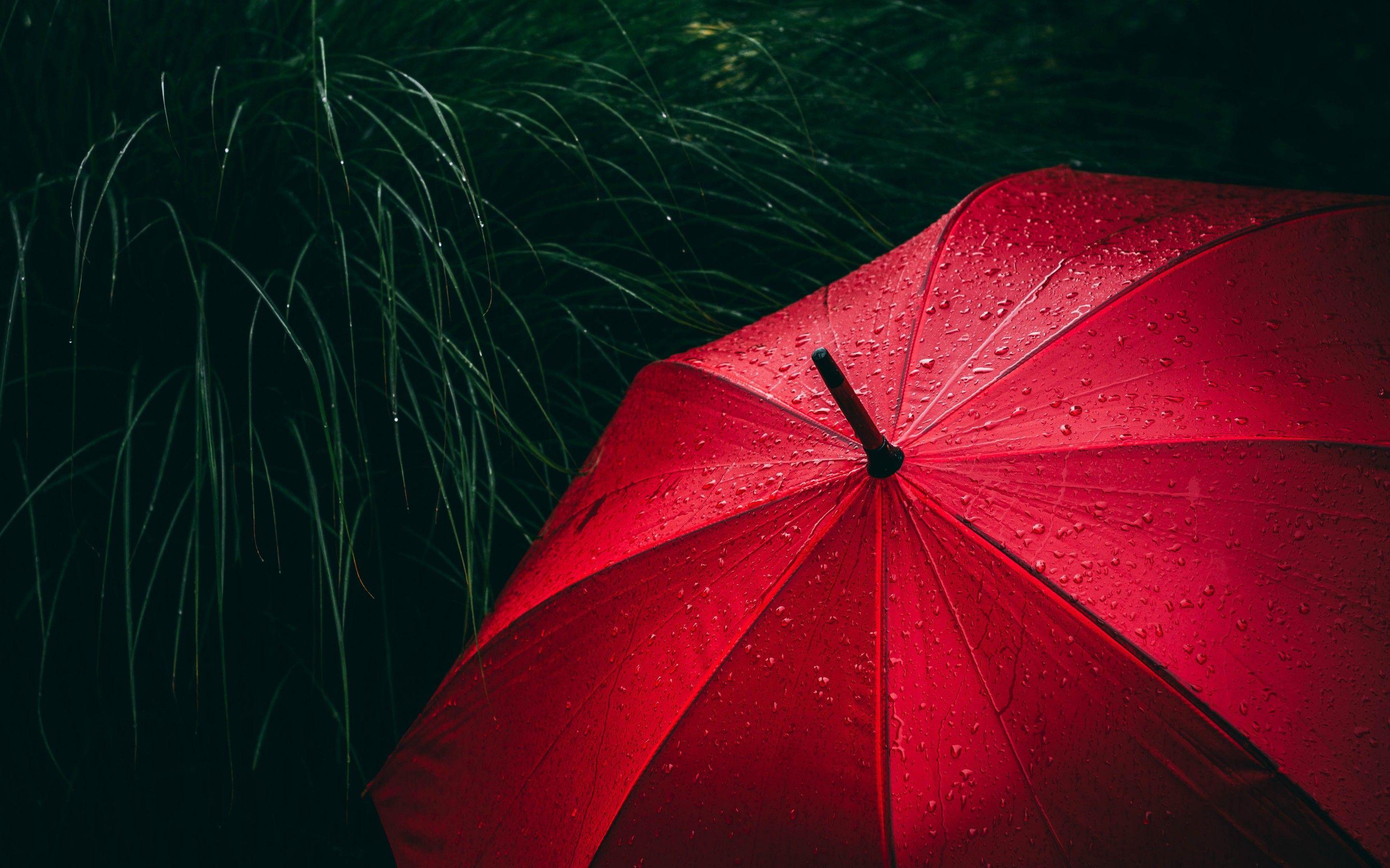 2880x1800 Umbrella 4K Wallpaper, Red, Rain droplets, Rainy day, 5K, Photography