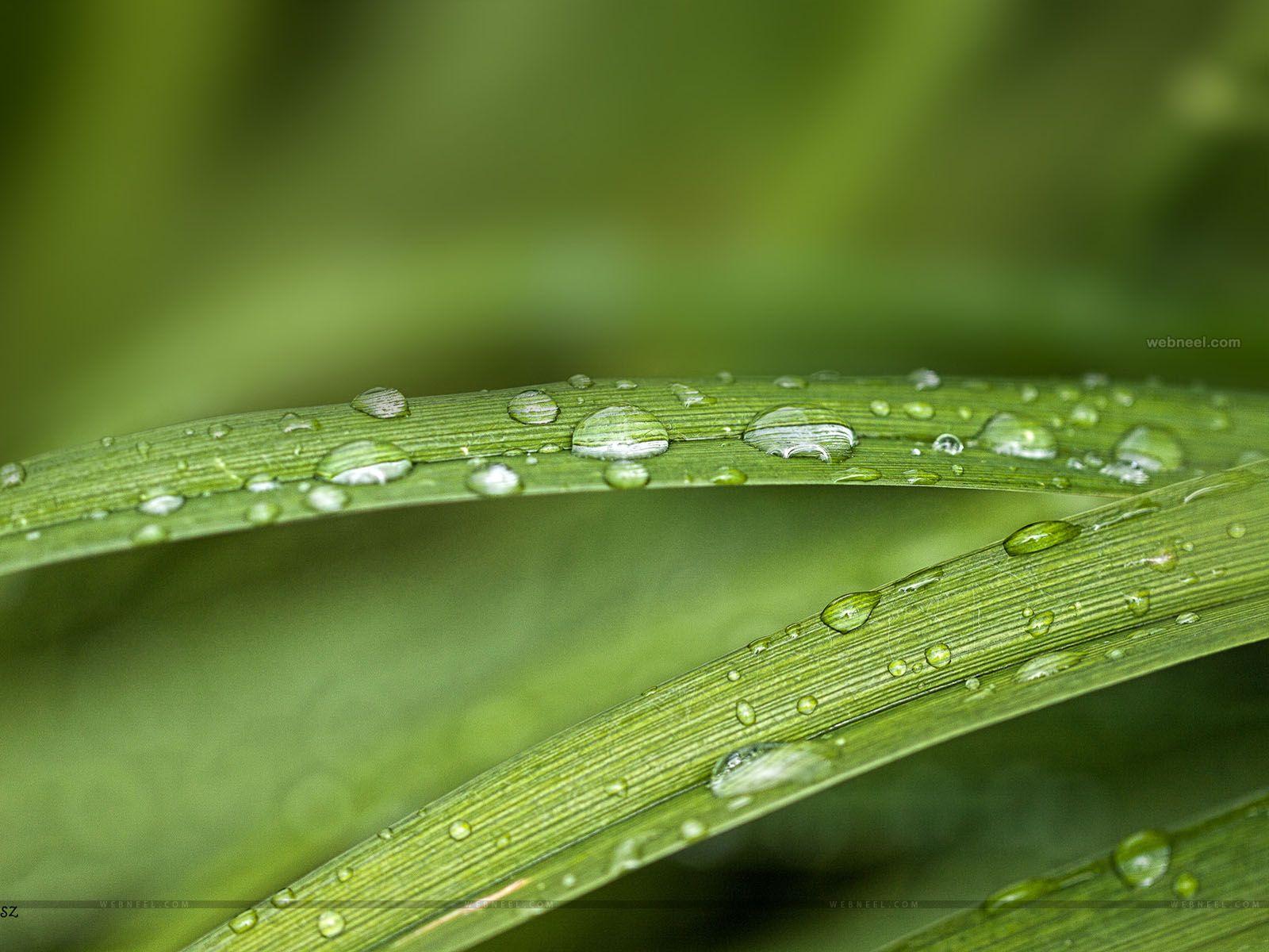 1600x1200 Beautiful Rain Wallpaper for your desktop