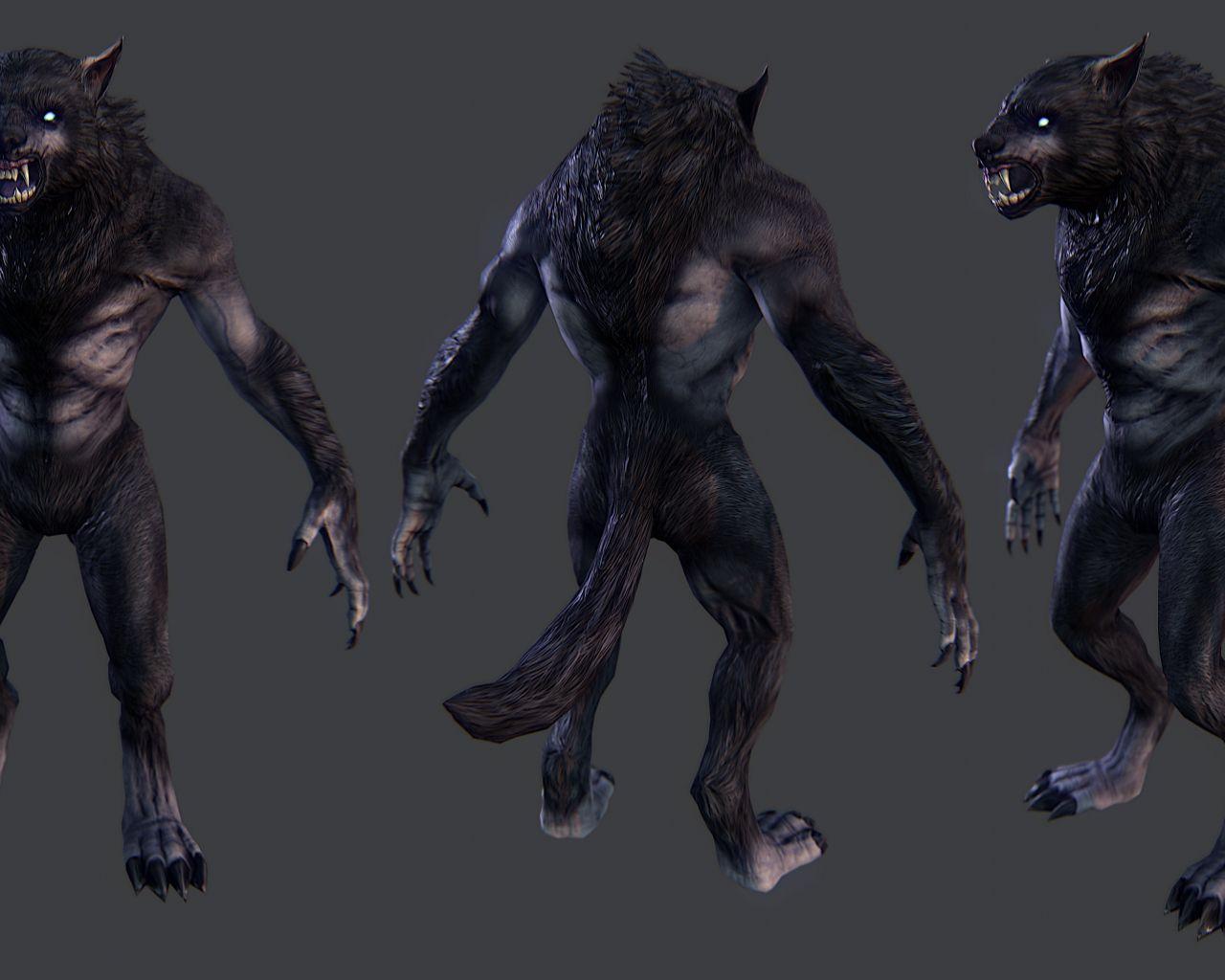 1280x1024 Free download Werewolf Vs Vampire Skyrim Image Crazy Gallery [3840x2116] for your Desktop, Mobile & Tablet. Explore Vampire vs Werewolf Wallpaper. Vampire vs Werewolf Wallpaper, Werewolf Background, Werewolf Wallpaper