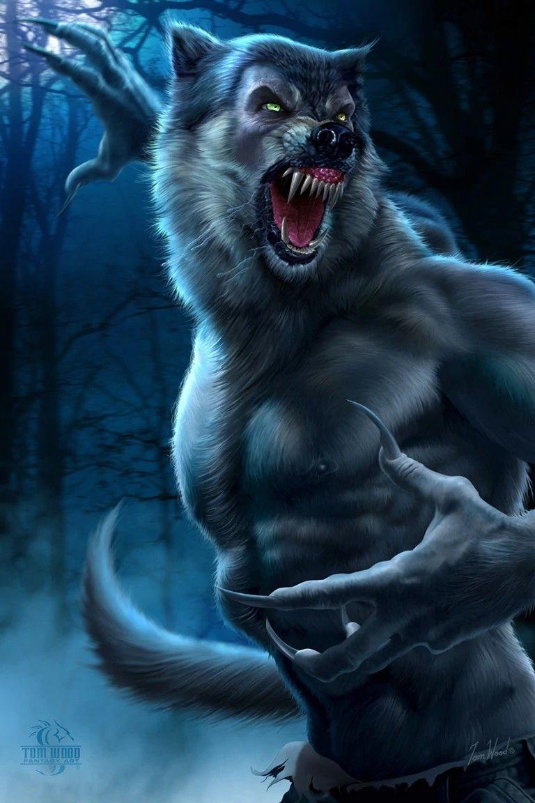 768x1152 Loup garou. Werewolf vs vampire, Wolf artwork, Werewolf