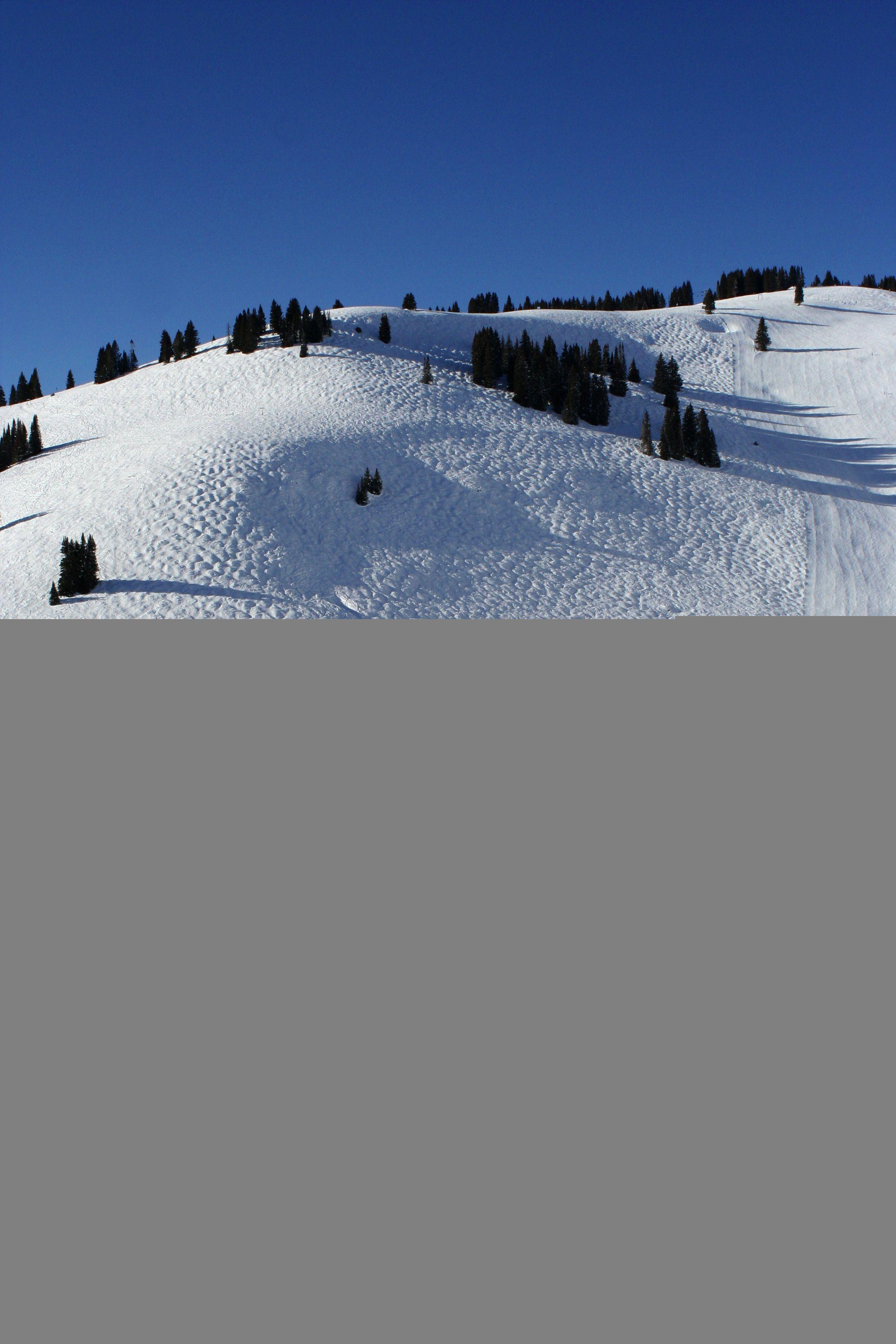 2304x3456 Customer Paradigm. Professional Ski Photography