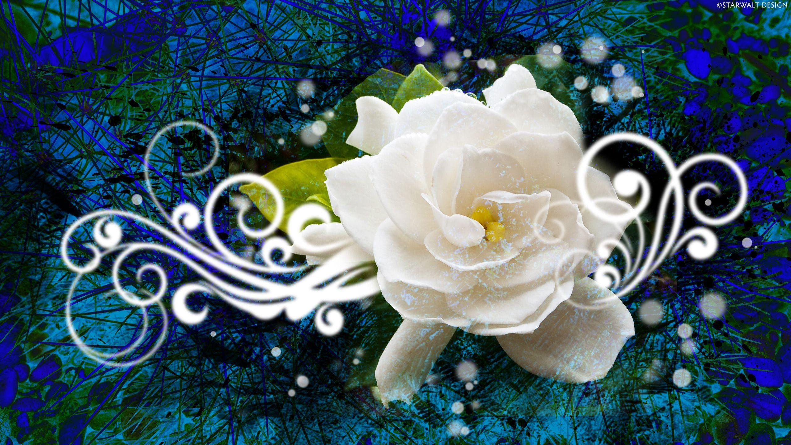 2560x1440 Art Gallery. Abstract flowers, Flower desktop wallpaper, HD flower wallpaper