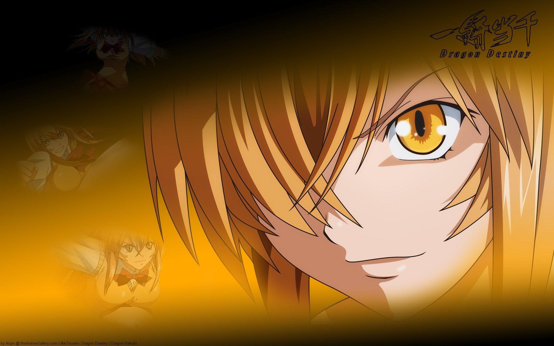 1920x1200 Marland Grant download ikki tousen wallpaper px. Ikki tousen, Manga girl art, Anime manga girl