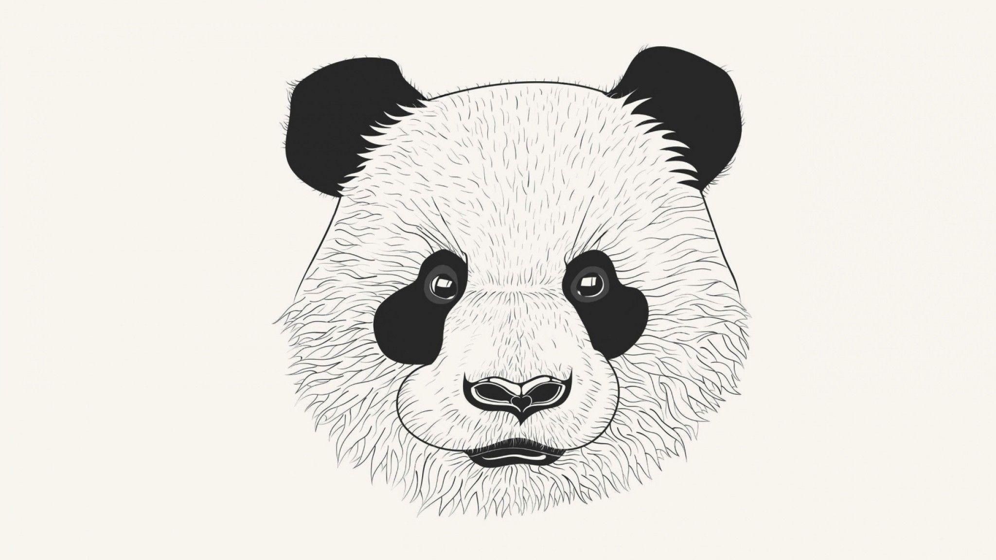 2048x1152 Trends For Wallpaper HD Supreme Panda wallpaper